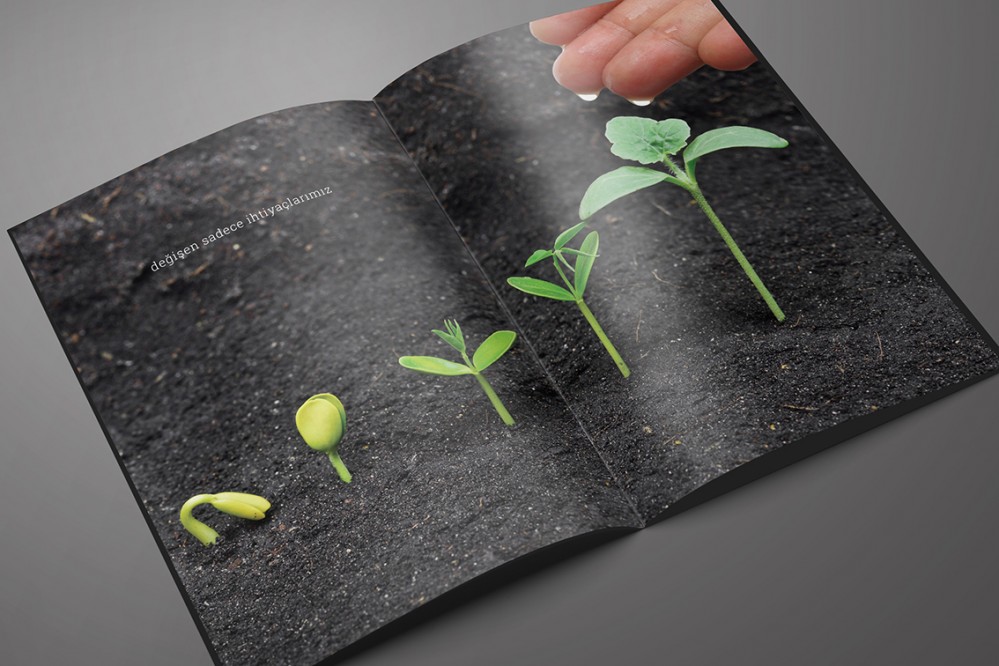 Hammadde ve kullanım alanları, Nanowood “Katalog Tasarımı”