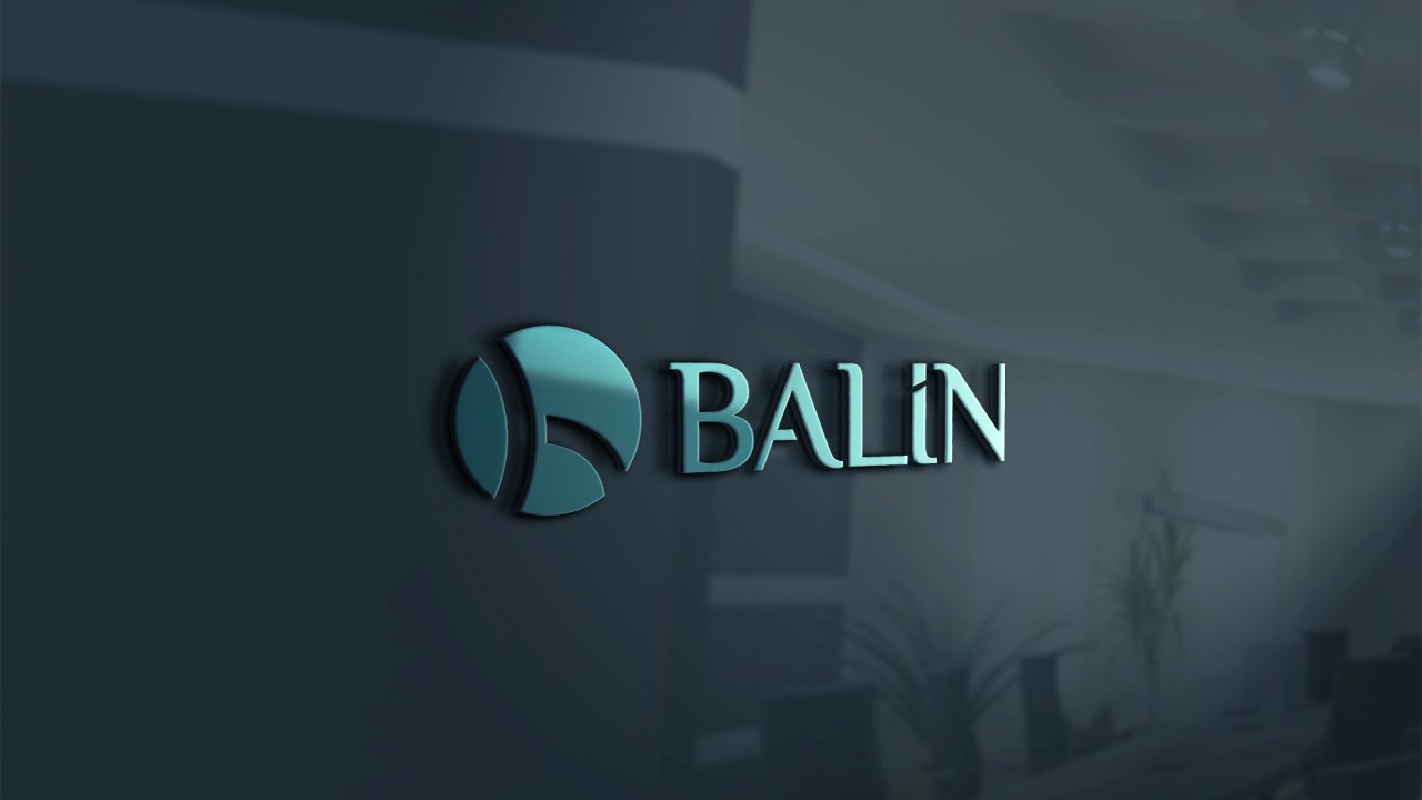Balin Sandalye “Logo ve Kurumsal Kimlik Kitapçığı” projemiz