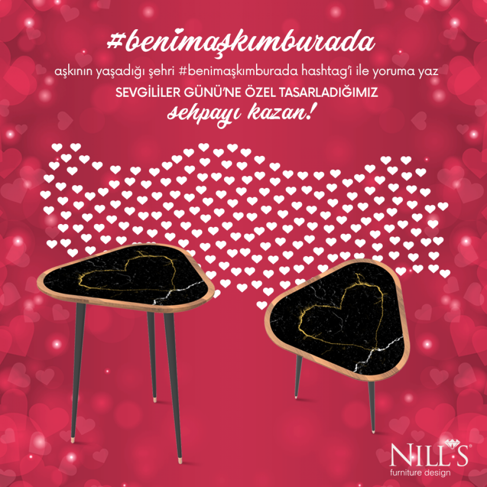 Nill's Mobilya “Facebook/Instagram” sayfa yönetimi Kuzey Işıkları'nda