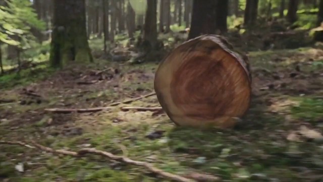 “Nanowood” Fabrika Tanıtım Filmini hazırladık