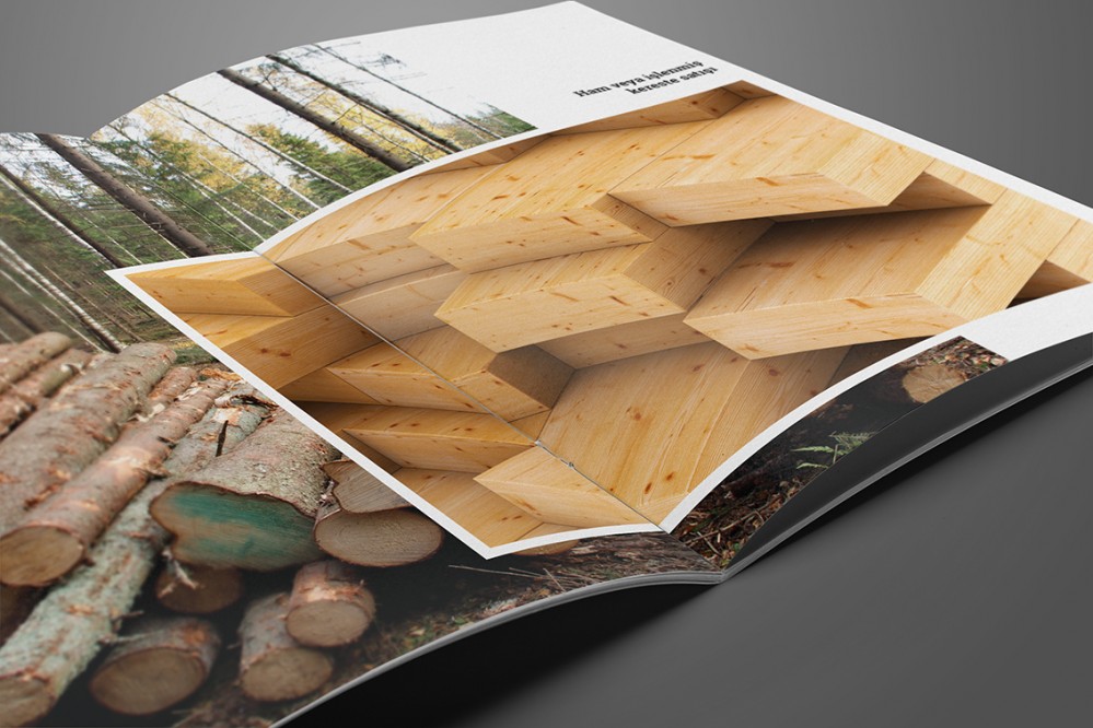 Hammadde ve kullanım alanları, Nanowood “Katalog Tasarımı”